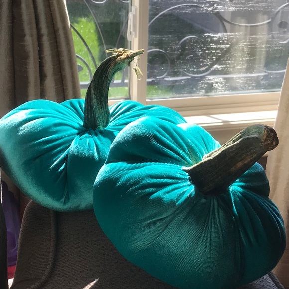 Selling Set of two Velvet pumpkins with real stems - Picture 2 of 4